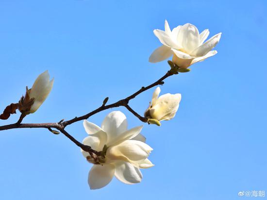 要知道人性本善，只要悉心爱护，照顾得法，终能使其重生。（摄影：海朝）