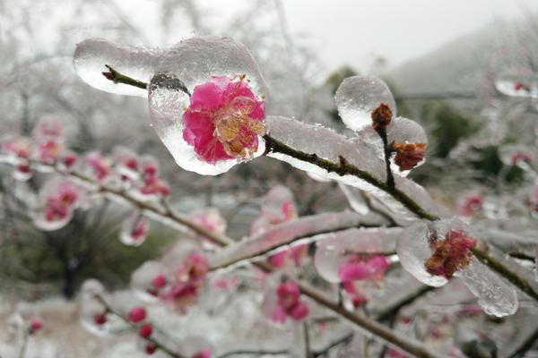 实况妖人-乐鱼APP下载-乐鱼体育app-乐鱼体育官网网站|乐鱼体育