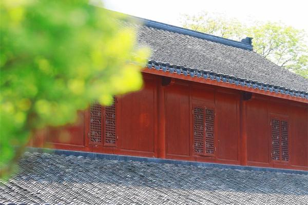 马克图姆家族-乐鱼app(leyu)官方网站-乐鱼官网