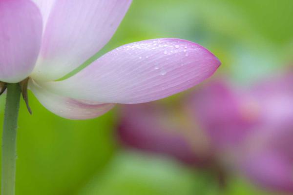 广州恒大vs河南建业