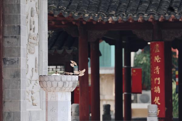 德甲球队分布图