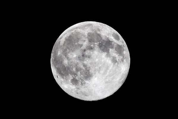 欧联杯赛程-乐鱼app(leyu)官方网站-乐鱼官网