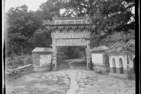 鲁尼儿子-乐鱼app(leyu)官方网站-乐鱼官网