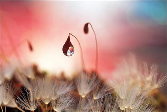 当依静处起精进，为究竟事速修持