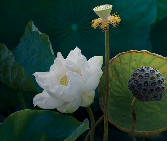 从来就没拥有过怎么放下