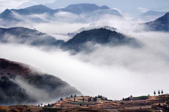 白云本是山中物