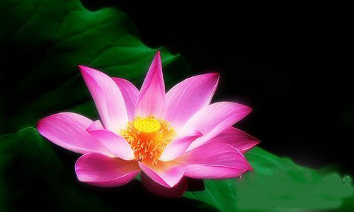 幸福是一种生命的自在