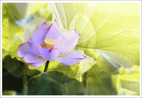 良药要会服用才有效果