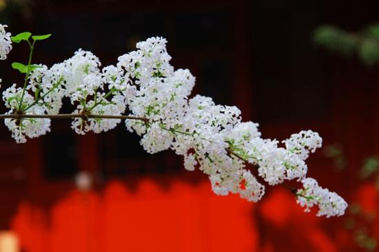 开悟后天地还是天地，日月依旧是日月