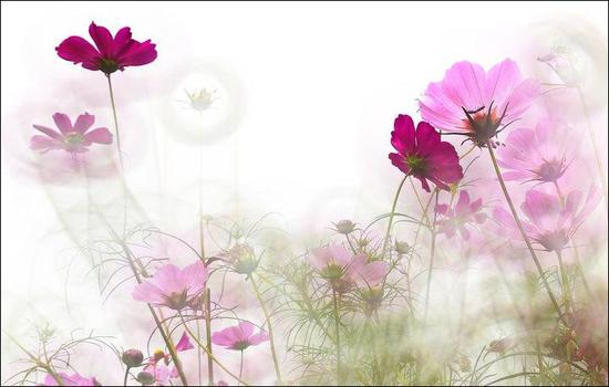 给青春的十五句忠告