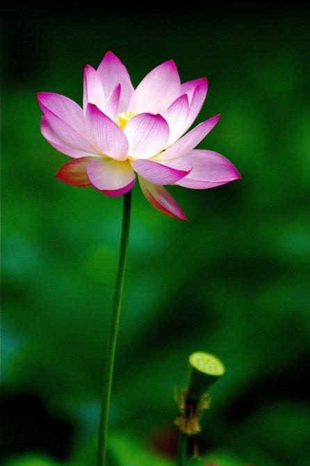 人生空幻如泡影。生命无常，什么时候会退出，谁也不知道