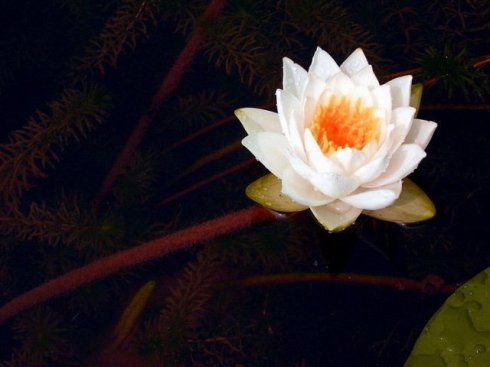 不说事非难遇善知识难