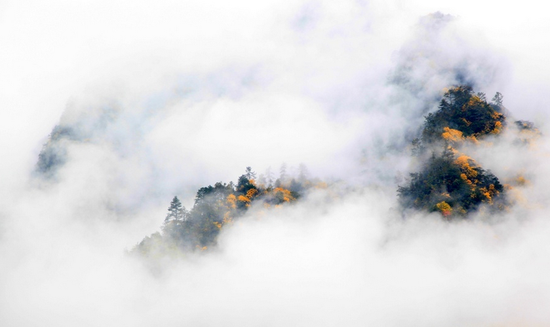 禅家能自静，住处是深山