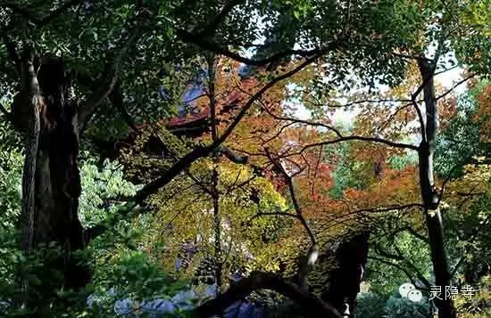 禅修天地：平等的自性