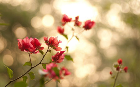 圣严法师：天下有五难