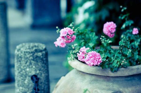 菩萨的智慧，体现在面对苦难的当下，是否还能够坚持悲心的回应