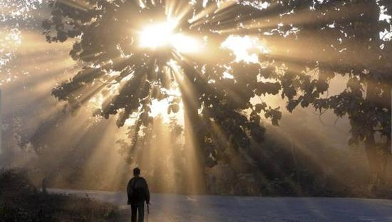 众生是诸佛心中的众生，诸佛是众生心中的诸佛