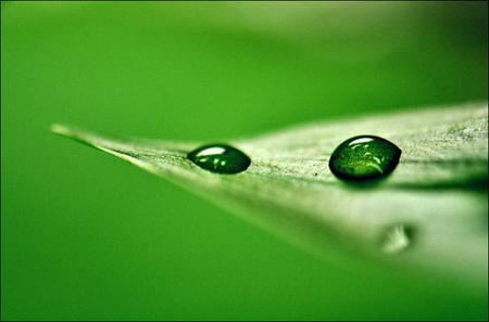 为什么你总是被环境影响缺乏智慧？