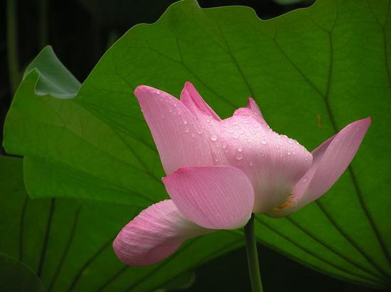 修行是修“心”