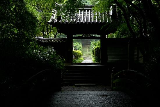 “四大皆空”是指哪四大？不止“酒色财气”那么简单