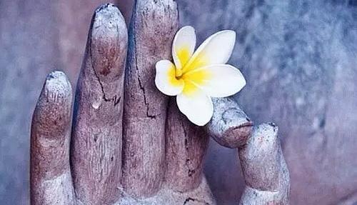 种什么因，得什么果