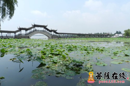 人生在世，各有自己的爱好，哪个才能伴终生呢？