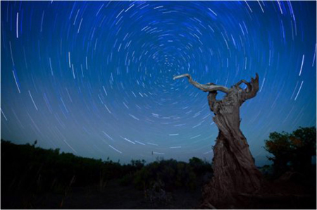 星云大师 人类最大的愚痴是不相信轮回 新浪佛学 新浪网