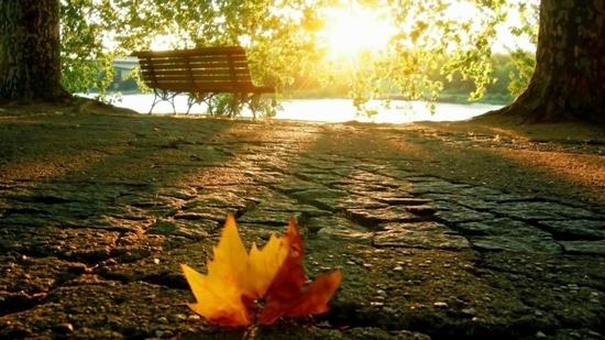 如果真正地知道感恩，也是内心的一种境界。