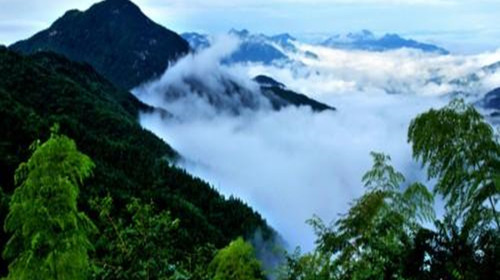 满目青山是禅，茫茫大地是禅；浩浩长江是禅，潺潺流水是禅；青青翠竹是禅，郁郁黄花是禅。