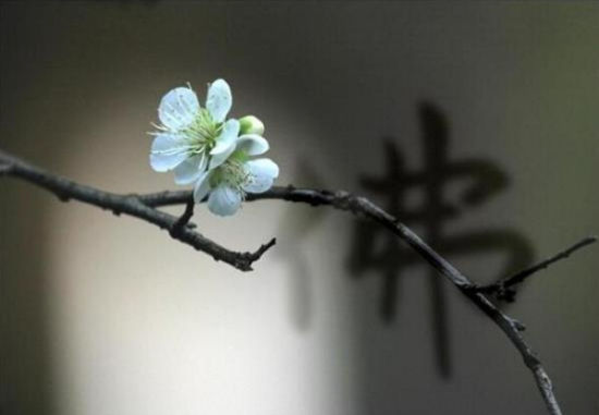 受了菩萨戒，做不到持午怎么办？