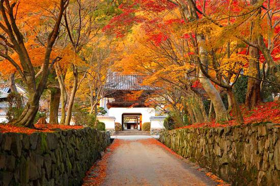 日本京都兴圣寺