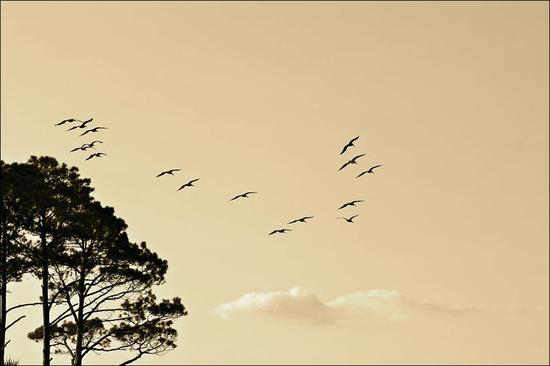 对身边几位朋友福报的观察和思考