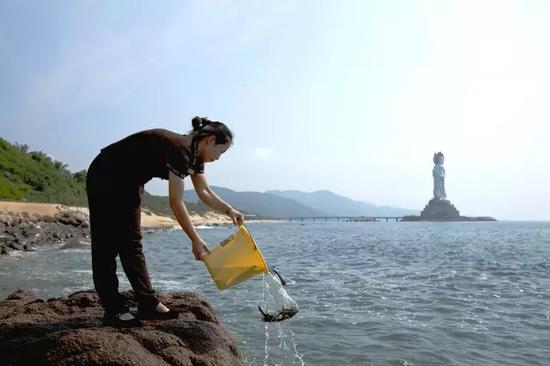 什么是“有情”众生