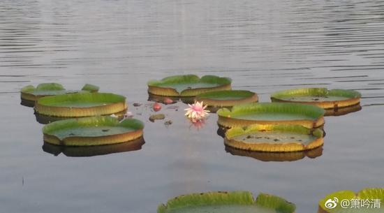 佛教的整个修行次第，信、解、行、证四个阶段缺一不可。