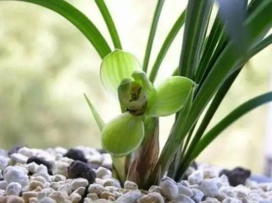 净化人间要从净化家庭开始