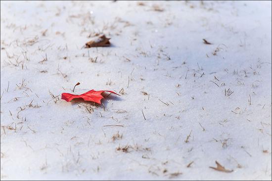 用念死给自己泼泼冷水