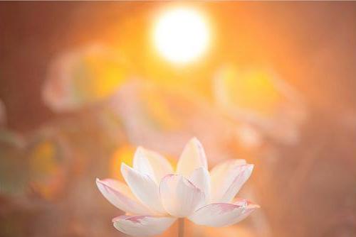 你能够“善用其心”，未来的生命就在你的掌握之中。