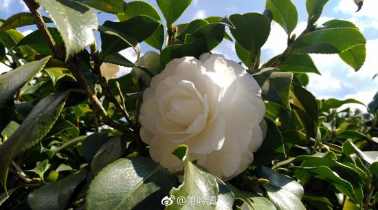 我们唯有做到入世而不恋世，既不眷恋世间，也不逃避现实，才能真正的离苦得乐。