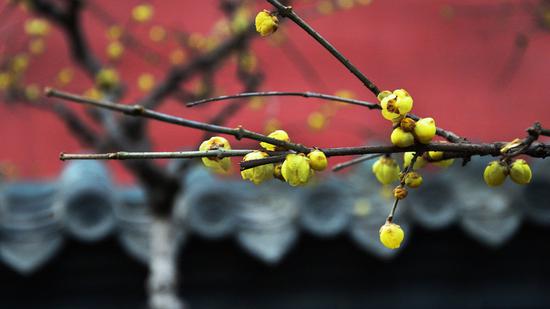 念死，是让我们学会理智地去面对；念死，更应该知道珍惜自己的当下。