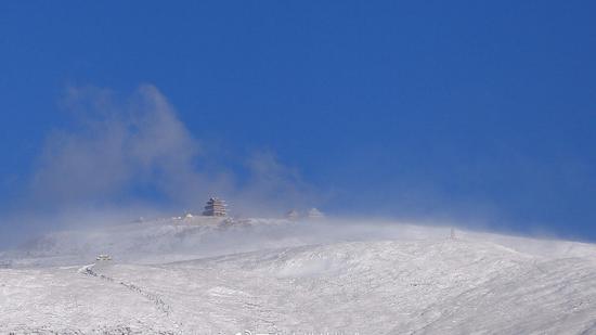 智者随时施，无有悭贪心，所作功德已，尽用惠施人。（图片来源：五台山佛教协会）