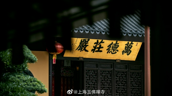 一门深入还是多看经典？（图片来源：上海玉佛禅寺）