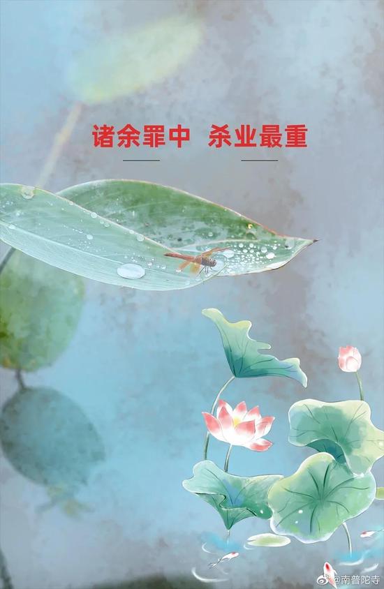 如何不杀生驱除蚊虫（图片来源：南普陀寺）