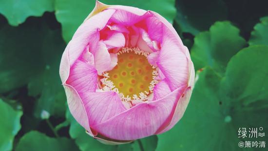 包容别人不容易，需要有耐心。（摄影：@箫吟清）