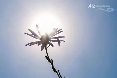 《灵峰蕅益大师宗论》卷第二之二 示绪竺