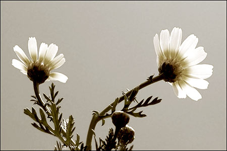 两全其美，不是不可能的