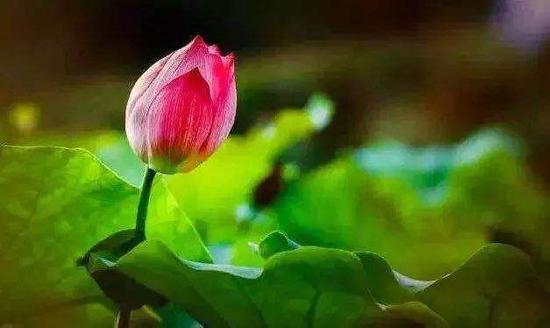 印有佛经的衣服可以穿吗？