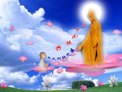 临终之人能否捐赠器官