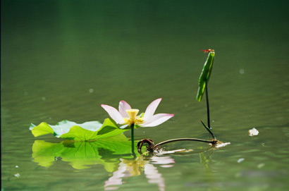 把过失停在原点是最大的过失。