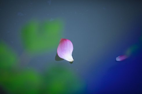 福报是过去的修养,修养是未来的福报。