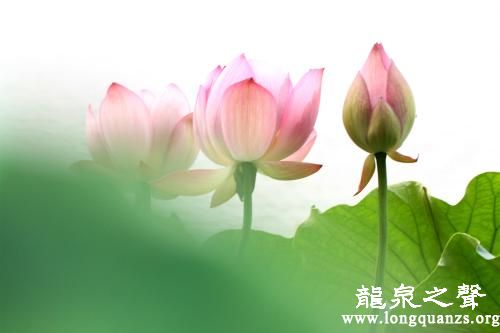 学诚法师:对人对己要认真不当真